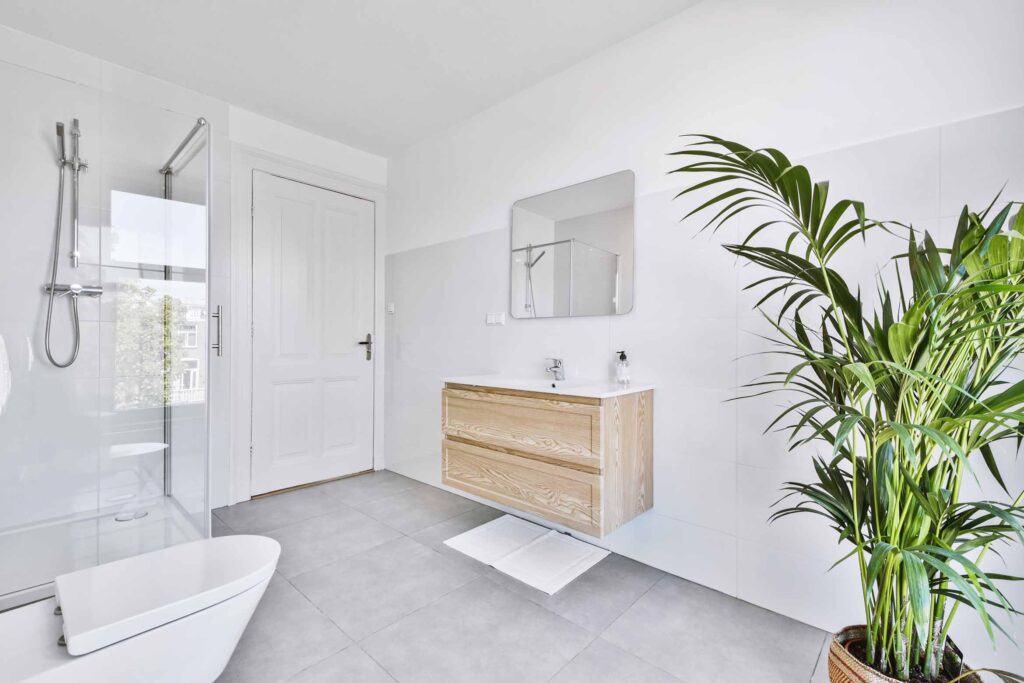 Interior Of Bathroom With Plant